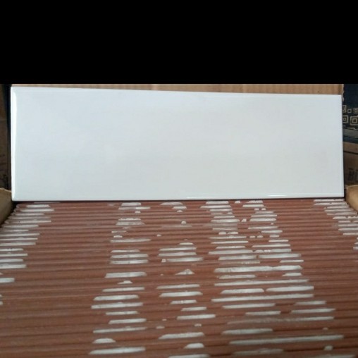 Platinum Bonza White 10x30